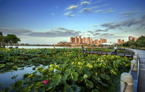 老僑喜看南京環(huán)保成就 兩會(huì)推動(dòng)城市綠色發(fā)展